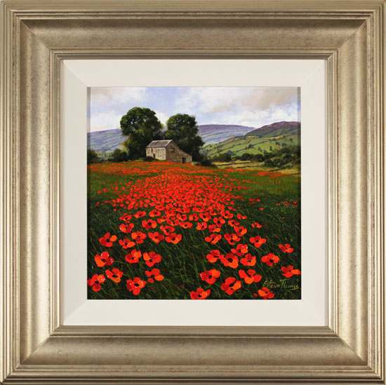 Steve Thoms, Original oil painting on panel, Yorkshire Poppies, click to enlarge