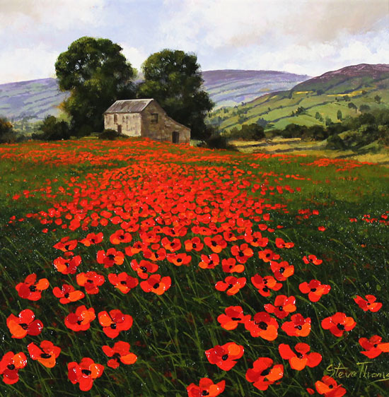 Steve Thoms, Original oil painting on panel, Yorkshire Poppies Without frame image. Click to enlarge