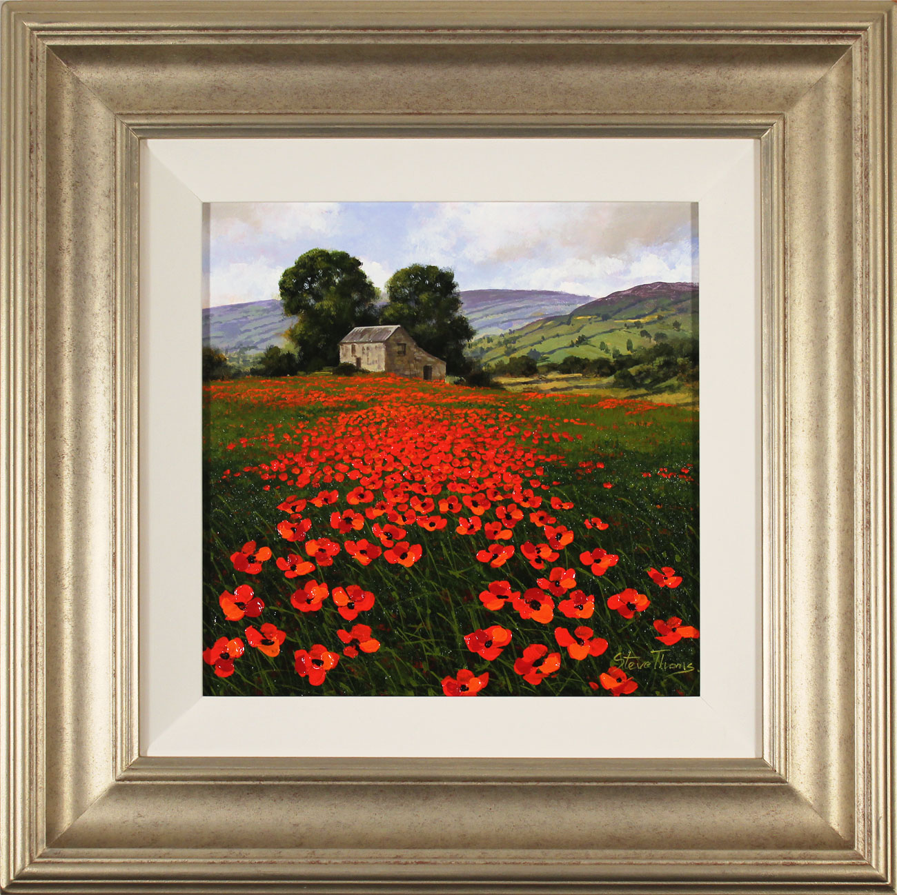 Steve Thoms, Original oil painting on panel, Yorkshire Poppies. Click to enlarge
