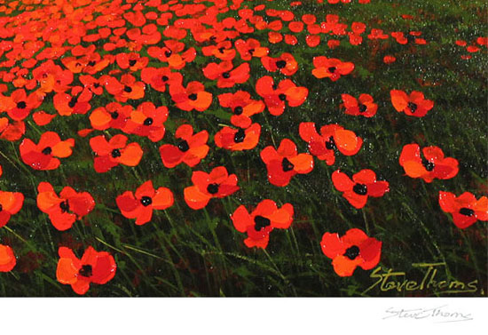 Steve Thoms, Signed limited edition print, Poppy Field, Yorkshire Dales Signature image. Click to enlarge