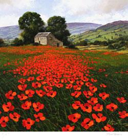 Steve Thoms, Signed limited edition print, Yorkshire Poppies