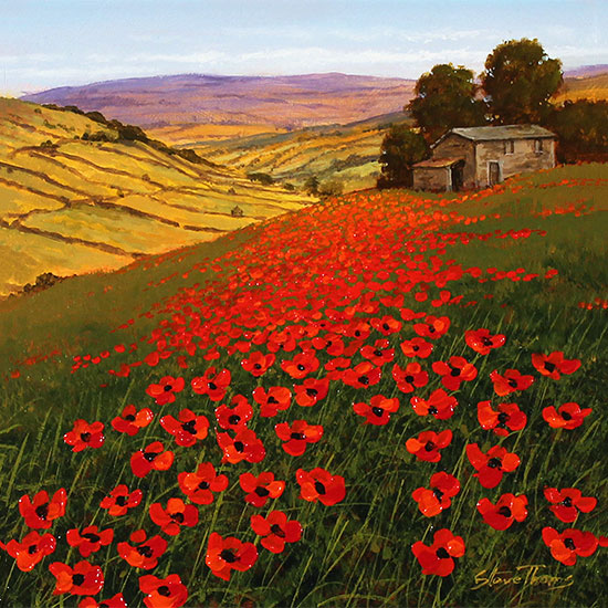 Steve Thoms, Original oil painting on panel, Yorkshire Poppies Without frame image. Click to enlarge