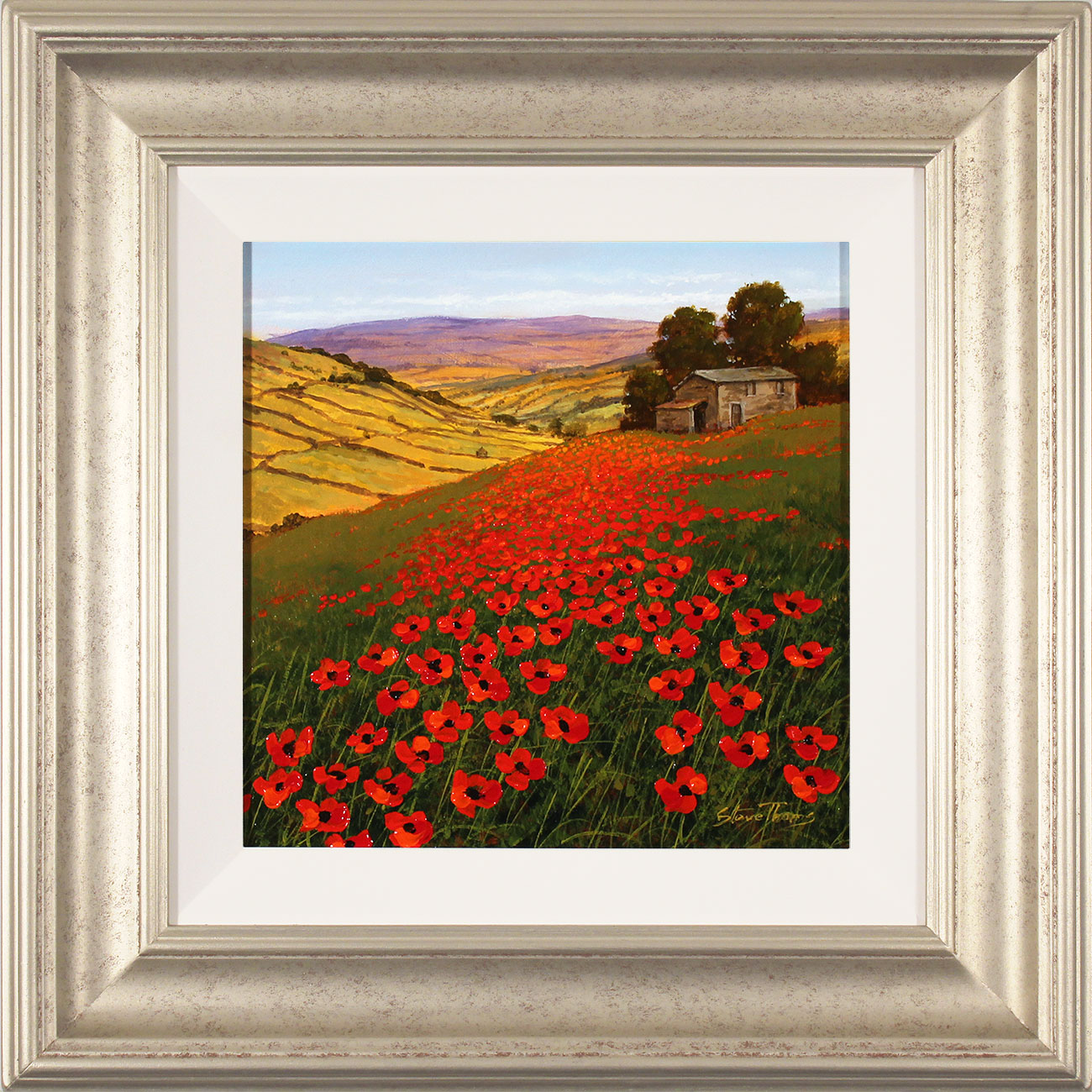 Steve Thoms, Original oil painting on panel, Yorkshire Poppies. Click to enlarge