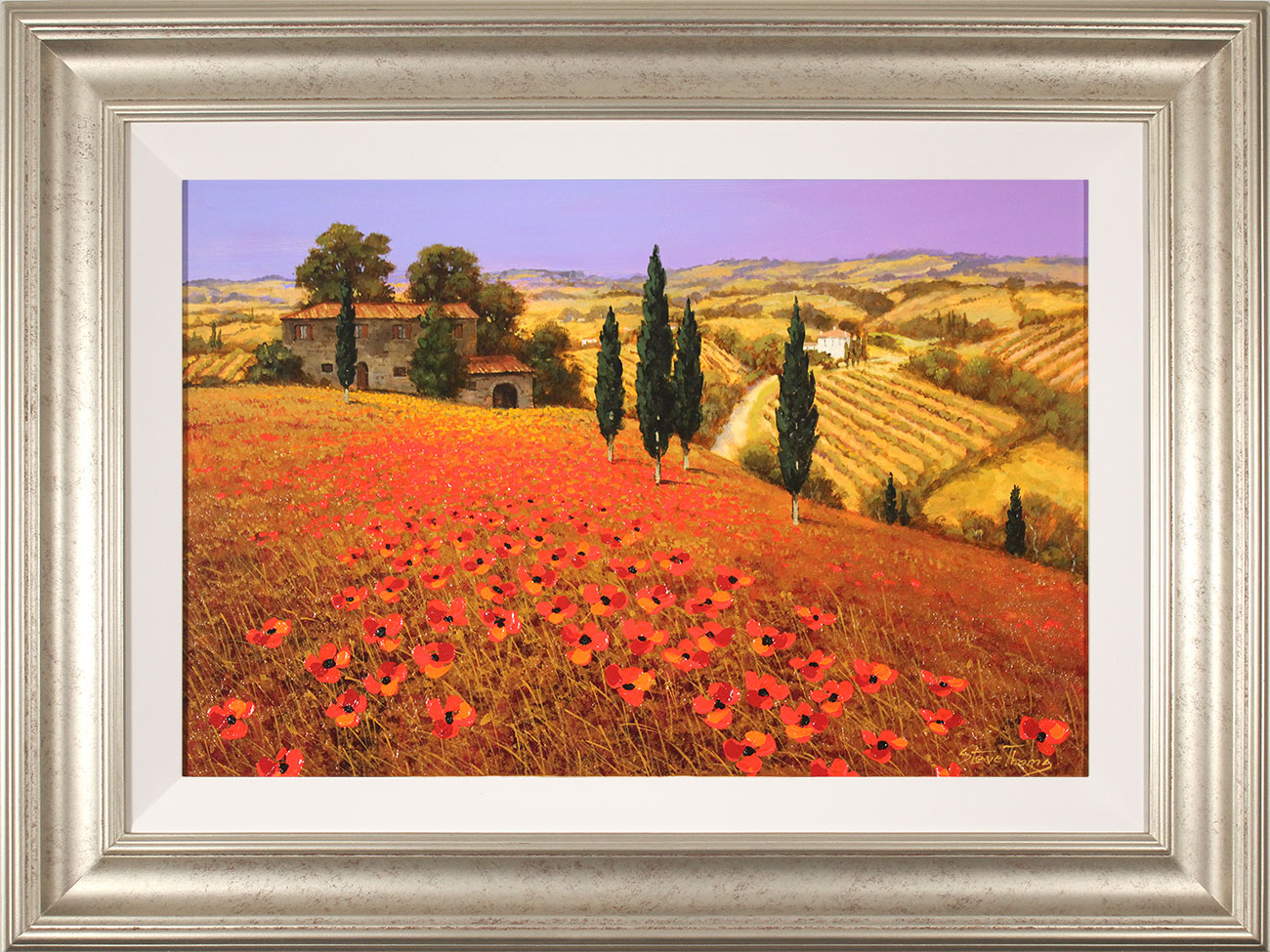 Steve Thoms, Original oil painting on panel, Tuscan Poppies. Click to enlarge