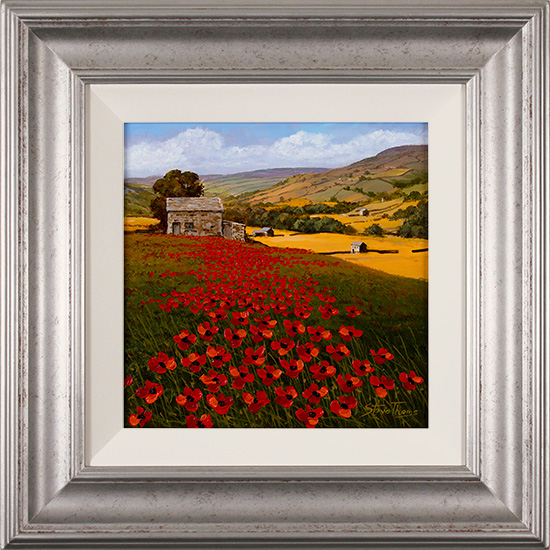Steve Thoms, Original oil painting on panel, Yorkshire Poppies