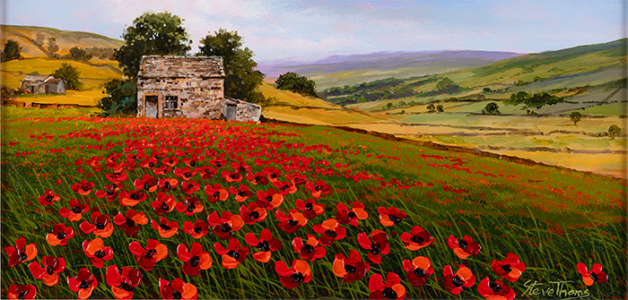Steve Thoms, Original oil painting on panel, Wild Poppies, Yorkshire Dales