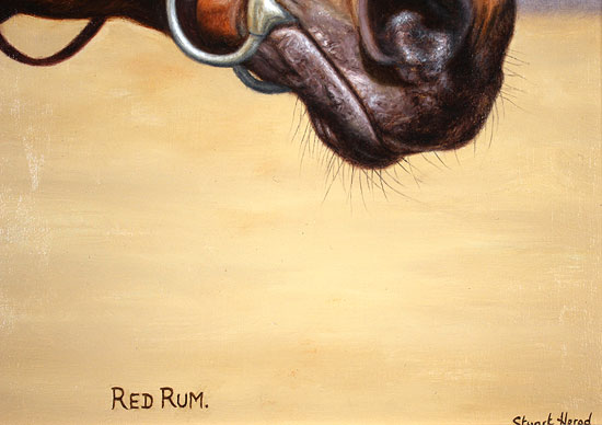 Stuart Herod, Original oil painting on panel, Red Rum Signature image. Click to enlarge