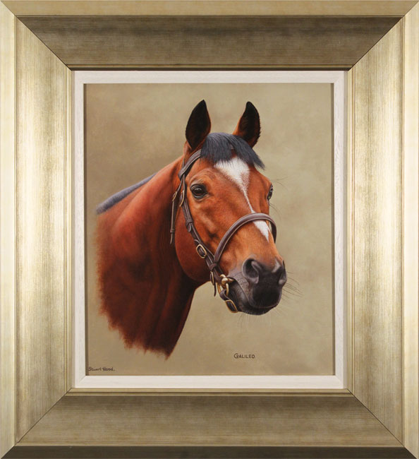 Stuart Herod, Original oil painting on canvas, Galileo, click to enlarge