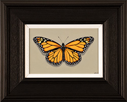 Stuart Herod, Original oil painting on panel, Monarch