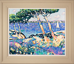 Pines in the Camargue