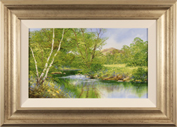 Large image, click to enlarge