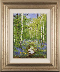 Terry Evans, Original oil painting on canvas, Bluebell Wood