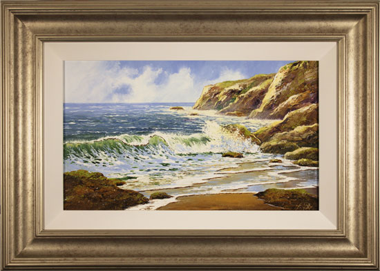 Terry Evans, Original oil painting on panel, Coastal Spray, click to enlarge