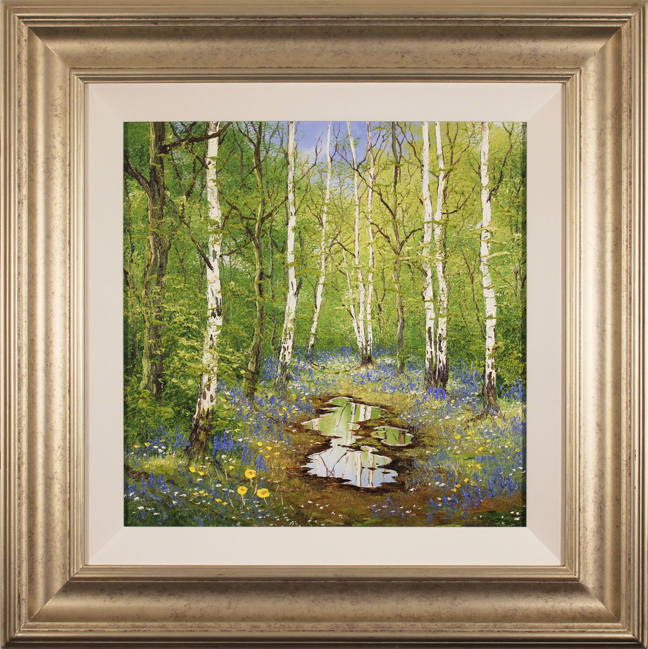 Terry Evans, Original oil painting on panel, Birch and Bluebell. Click to enlarge
