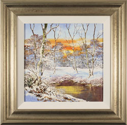 Terry Evans, Original oil painting on canvas, Winter Wood