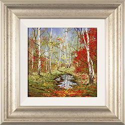 Terry Evans, Original oil painting on canvas, Autumn Birch Wood 