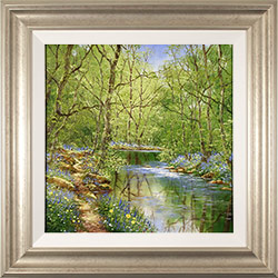 Terry Evans, Original oil painting on canvas, Woodland Wanderings Large image. Click to enlarge