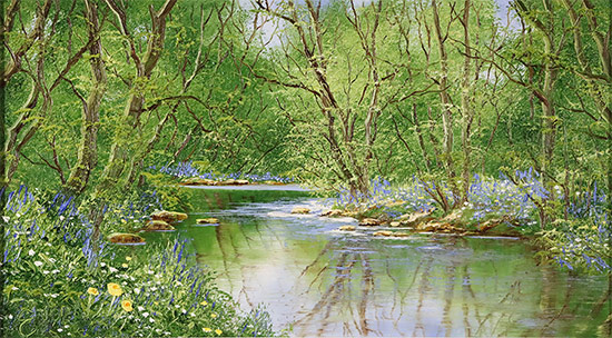 Terry Evans, Original oil painting on canvas, The Bluebell Wood Without frame image. Click to enlarge