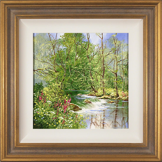 Terry Evans, Original oil painting on canvas, Woodland Stream, click to enlarge