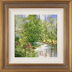 Terry Evans, Original oil painting on canvas, Woodland Stream