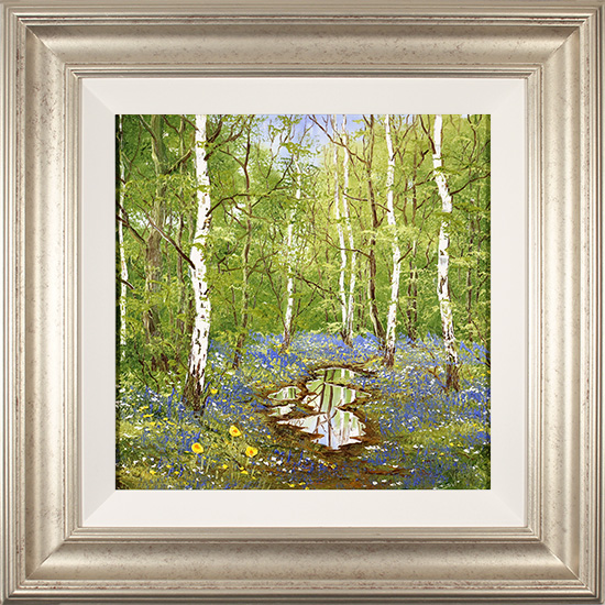 Terry Evans, Original oil painting on canvas, Bluebell and Birch