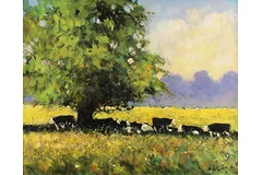 No frame image, click to enlarge