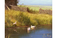 Signature image, click to enlarge