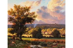 No frame image, click to enlarge