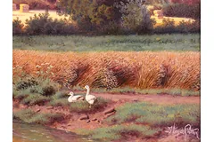 Signature image, click to enlarge