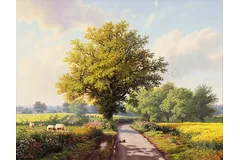 No frame image, click to enlarge