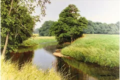 No frame image, click to enlarge