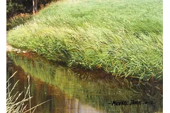 Signature image, click to enlarge
