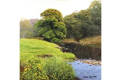 No frame image, click to enlarge