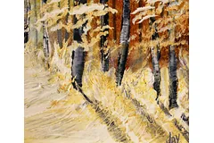 Signature image, click to enlarge