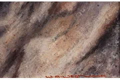 Signature image, click to enlarge