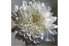 Large image, click to enlarge