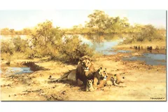 No frame image, click to enlarge