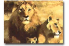 Large image, click to enlarge