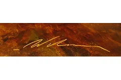 Signature image, click to enlarge