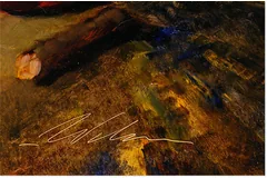 Signature image, click to enlarge