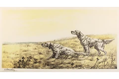 No frame image, click to enlarge