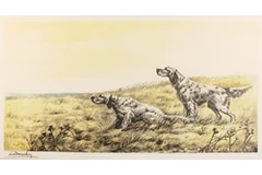 Large image, click to enlarge