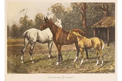 Large image, click to enlarge