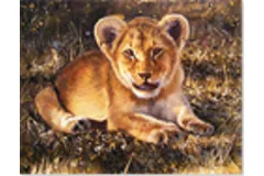 Large image, click to enlarge