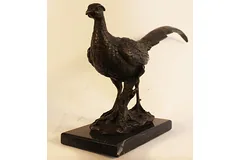 No frame image, click to enlarge