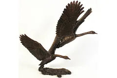 Large image, click to enlarge