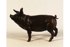 Large image, click to enlarge