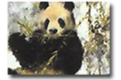 Large image, click to enlarge