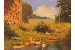 No frame image, click to enlarge