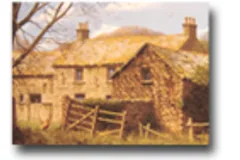 Large image, click to enlarge